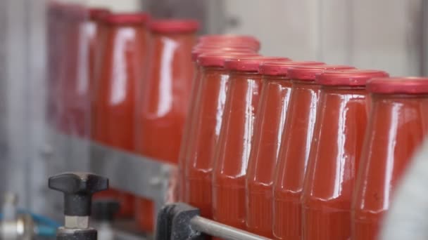 Μπουκάλια Σάλτσα Ντομάτας Μεταφορική Γραμμή Σάλτσα Ντομάτας — Αρχείο Βίντεο