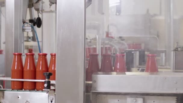 Konveyör Hattında Domates Sosu Şişeleri Domates Sosu Üretimi — Stok video