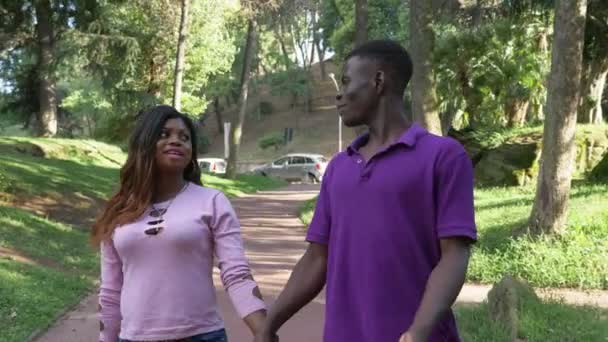 Glimlachend Mooi Amerikaans Afrikaans Paar Wandelen Het Park Natuur Ontspannen — Stockvideo