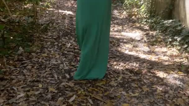 Primer Plano Las Piernas Mujer Elegante Caminando Bosque Pace Relajarse — Vídeos de Stock