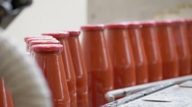 Konveyör bandında çalışan domates sos şişeleri. Domates sosu üretimi 