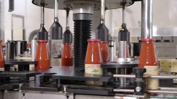 Bottiglie Salsa Pomodoro Sulla Linea Trasporto Produzione Salsa Pomodoro — Video Stock