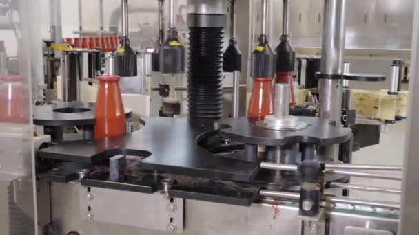 Tomato Sauce Bottles Conveyor Line Tomato Sauce Production — Stock Video