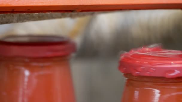 Maschinen Reinigung Tomatensauce Flasche Kaps Tomatensauce Produktion Makro — Stockvideo