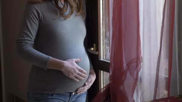 Czekać Dziecko Życie Macierzyństwo Kobieta Ciąży Oknie Pieszczoty Brzuch — Wideo stockowe