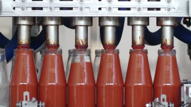 Botellas Salsa Tomate Línea Transporte Salsa Tomate Producción — Vídeo de stock