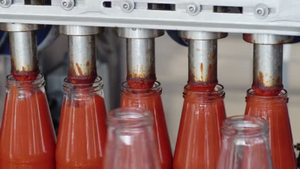 Processo Industrial Molho Tomate Garrafas Enchimento Máquinas Feitas Itália — Vídeo de Stock