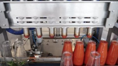 Domates sosu şişelerini dolduran otomatik makineler- Domates Sosu üretimi