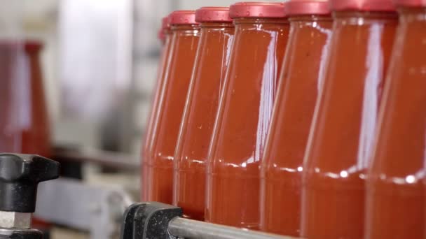 Bottiglie Salsa Pomodoro Factory Tomato Sulla Linea Trasportatore — Video Stock