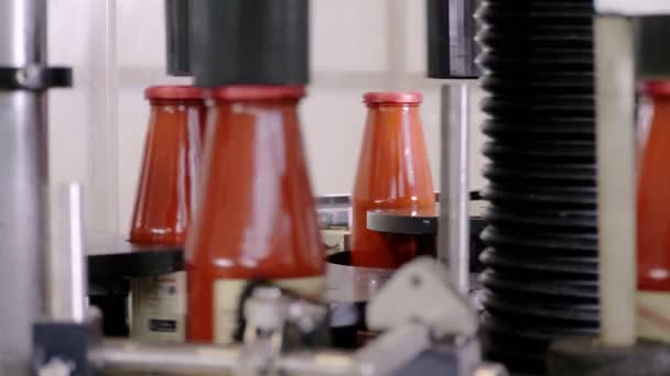 Fábrica Salsa Tomate Botellas Salsa Tomate Cinta Transportadora — Vídeo de stock