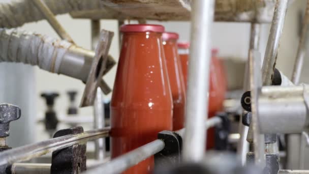 Fábrica Producción Proceso Salsa Tomate Fábrica — Vídeo de stock