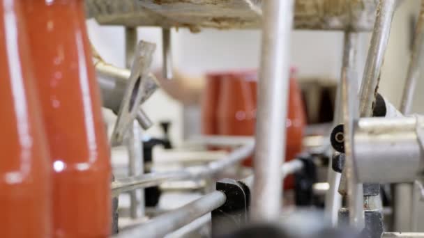 Производство Томатного Соуса Сделано Италии Бутылки Конвейере — стоковое видео