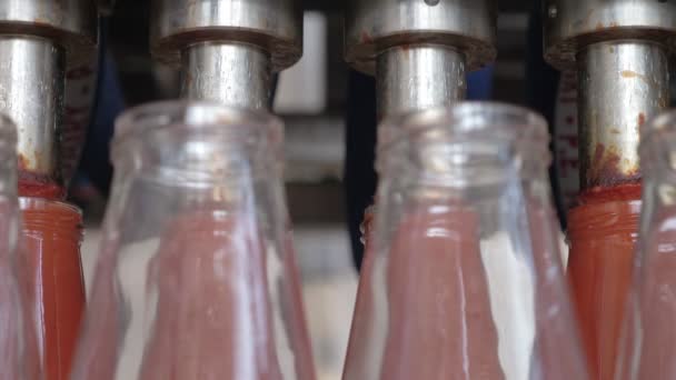 Llenar Botellas Salsa Tomate Fábrica Salsa Tomate — Vídeo de stock