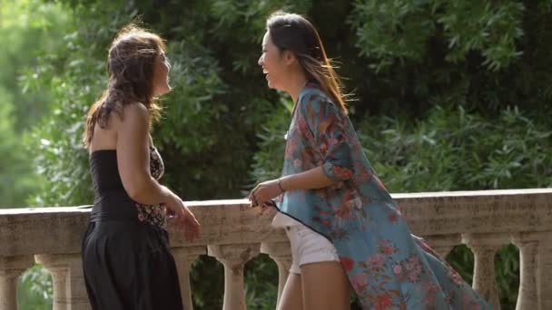 Sorrindo Amigos Felizes Parque Conversando Câmera Lenta Mulheres Amigos Fala — Vídeo de Stock