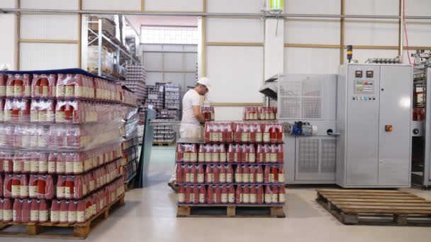 Tomato Sauce Bottles Conveyor Line Tomato Sauce Production — Stock Video