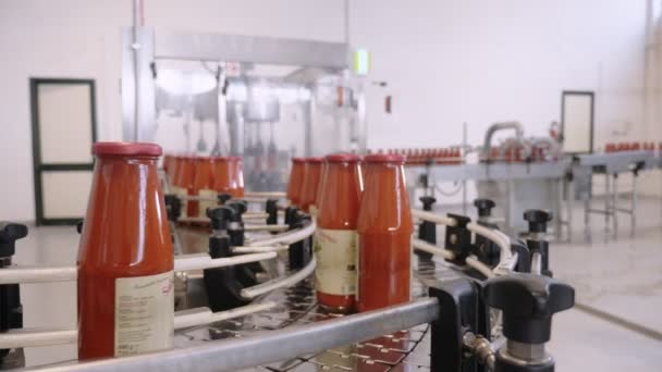 Μπουκάλια Ντομάτας Που Κινούνται Ιμάντα Μεταφοράς Εργοστάσιο Σάλτσα Ντομάτας — Αρχείο Βίντεο