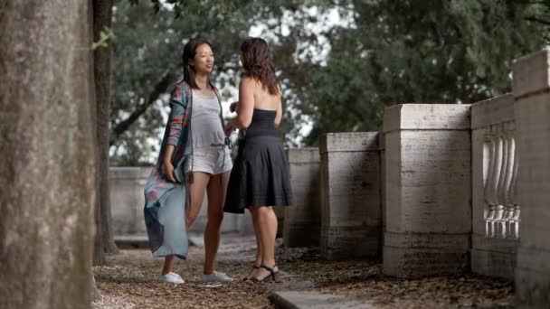 Risa Diversión Disfrute Jóvenes Mujeres Atractivas Riendo Parque Cámara Lenta — Vídeos de Stock