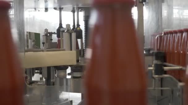 Botellas Salsa Tomate Línea Transporte Salsa Tomate Producción — Vídeo de stock