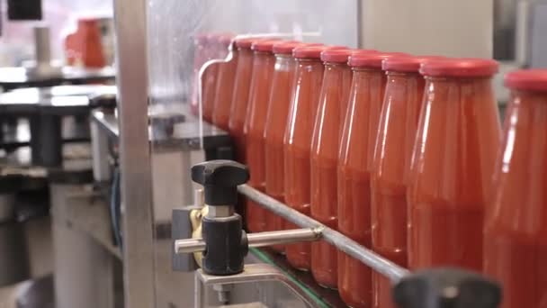 Pabrik Saus Tomat Botol Saus Tomat Pada Baris Konveyor — Stok Video