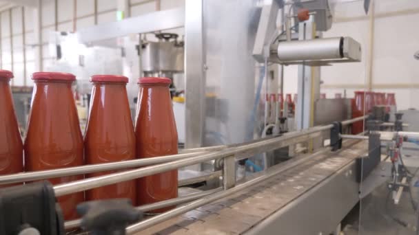 Tomato Sauce Factory Production Tomato Sauce Bottles Conveyor Line — Stock Video