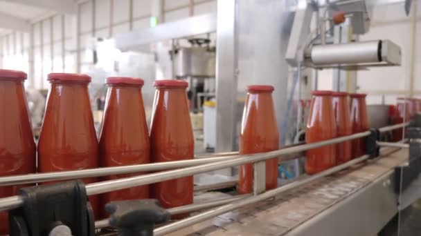 Producción Salsa Tomate Salsa Tomate Botellas Moviéndose Cinta Transportadora — Vídeo de stock