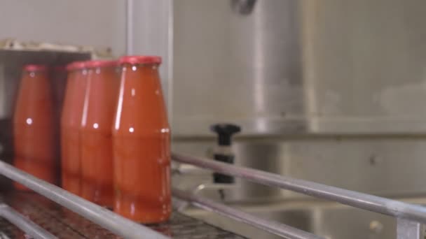 Tomatensaus Fabriek Tomatensaus Flessen Sterilisatieproces — Stockvideo