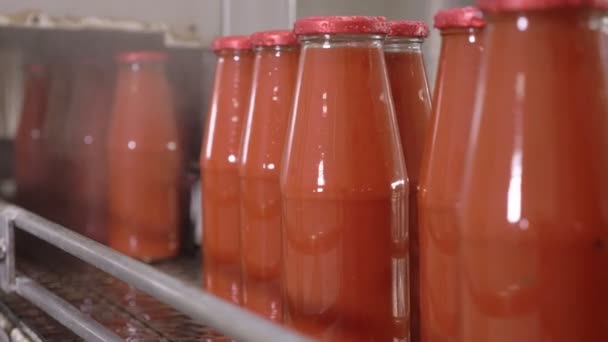 Sos Pomidorowy Butelki Proces Sterylizacji Sos Pomidorowy Fabryka — Wideo stockowe