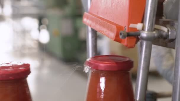 Maskiner Rengöring Tomatsås Flask Mössor Tomatsås Factory — Stockvideo