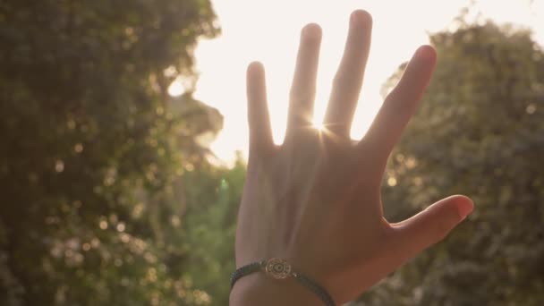 Θηλυκό Χέρι Ανύψωση Μέχρι Τον Ήλιο Κοντινό — Αρχείο Βίντεο