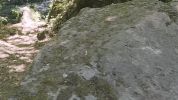 Perto Pés Descalços Homem Correndo Floresta Natureza Aventura Selvageria — Vídeo de Stock