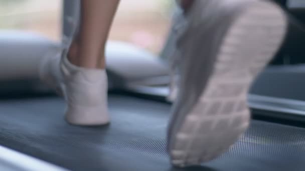Женские Мускулистые Ноги Беговой Дорожке Замедленная Съемка — стоковое видео