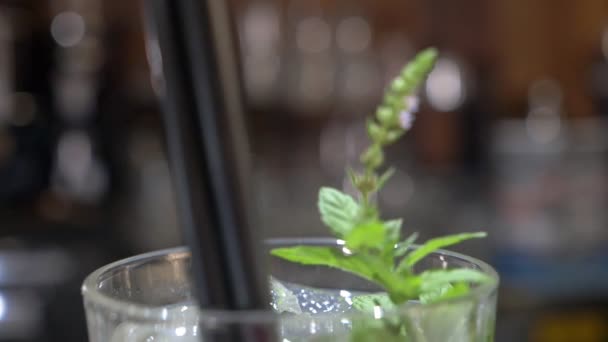 バーでモイトのさわやかなグラス コンセプト 楽しい パーティー カクテル — ストック動画