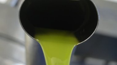 Italya 'nın güneyinde zeytin yağı üretimi