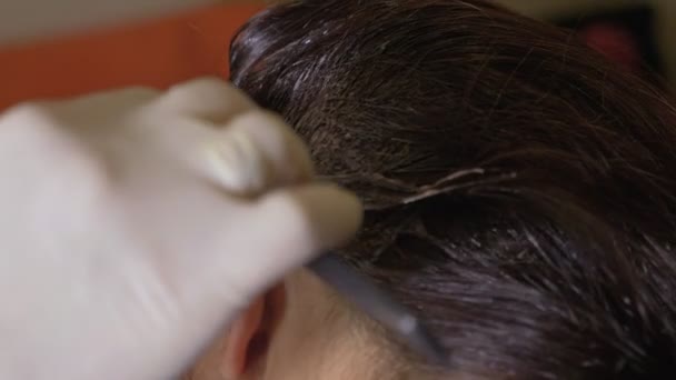 Estilista Aplicar Tinte Para Colorear Cabello Cabeza Del Cliente Cabello — Vídeo de stock