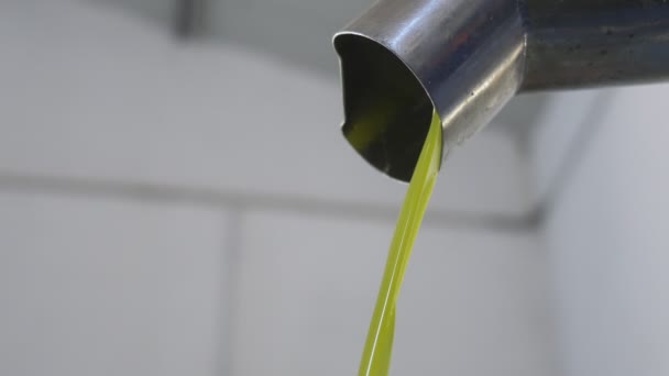 Produkce Olivového Oleje Jihu Itálie — Stock video