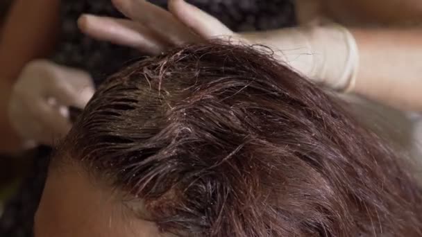 Cheveux Beauté Vanité Appliquer Teinture Capillaire Sur Tête Une Femme — Video