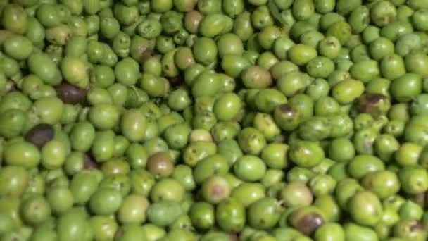 Olivenölproduktion Süditalien — Stockvideo