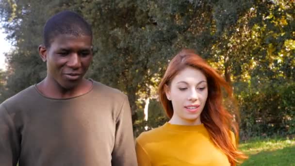 Concepto Amor Interracial Pareja Joven Raza Mixta Caminando Hablando Parque — Vídeos de Stock