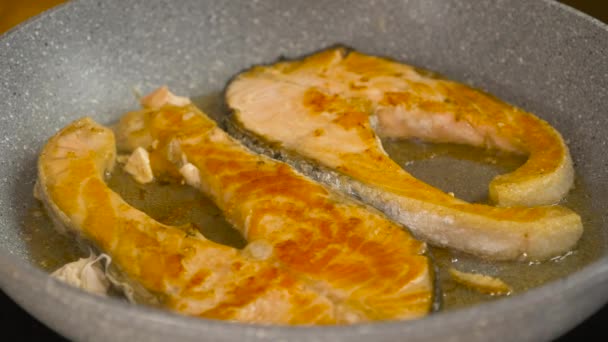 操作视图烹饪鲑鱼蒸煮他们在没有木棍锅中的褐色 健康食品 — 图库视频影像