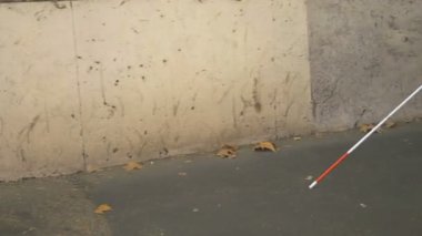 Şehirde yürüyen kör, bağımsız genç bir kadın. 