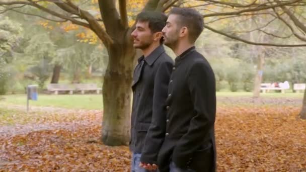 Zwei Männliche Liebhaber Park Liebe Leidenschaft Romantik — Stockvideo