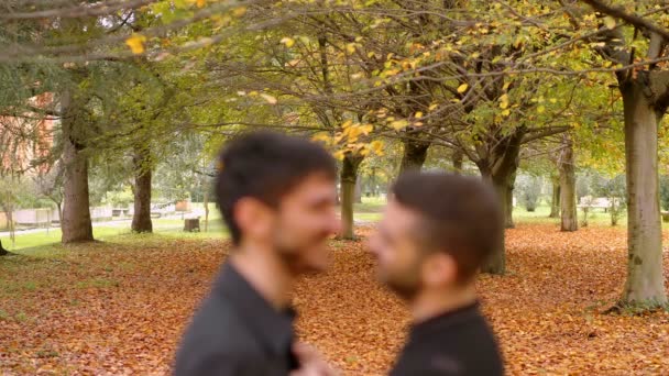 Két Férfi Szerető Parkban Szerelem Szenvedély Romantika — Stock videók