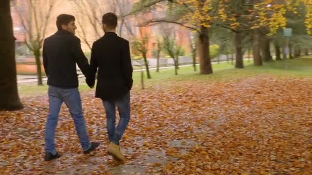 Dois Amantes Sexo Masculino Parque Amor Paixão Romance — Vídeo de Stock