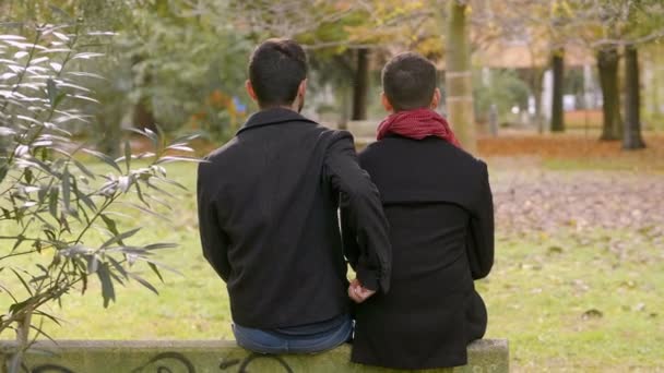 Jong Gay Paar Een Date — Stockvideo