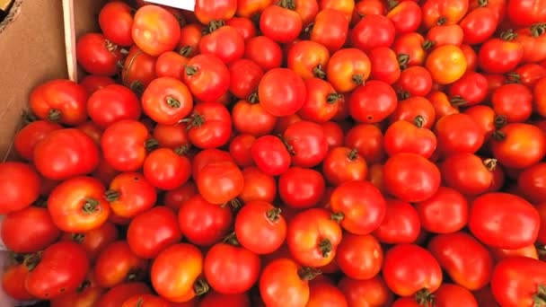 Steady Cam Freshly Picked Ripe Cherry Tomatoes Stall Market — Stock Video
