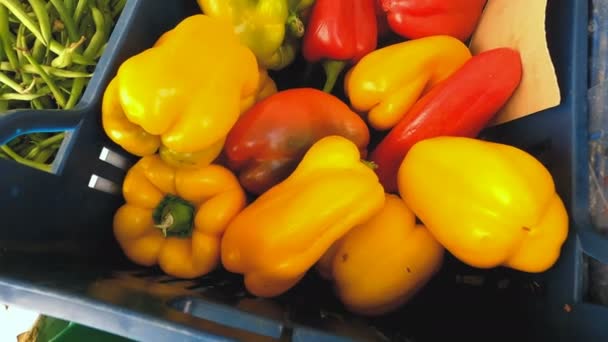 Stabiele Cam Mooie Rode Gele Paprika Een Kraam Markt — Stockvideo