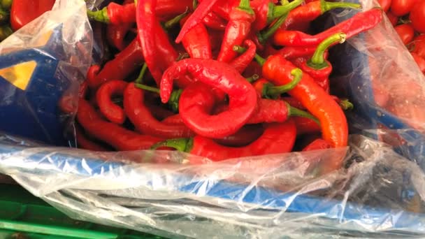 Kryddig Krydda Stäng Färsk Röd Chili Ett Stall Marknaden — Stockvideo