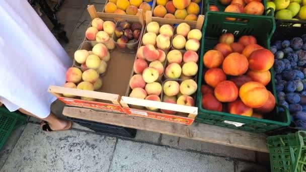 季節の果物 市場の屋台で桃 イチジク プラム レモンを閉じます — ストック動画