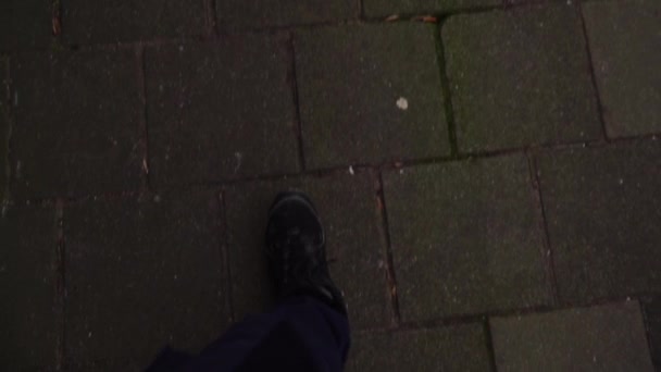 Chica camina por la calle en Amsterdam. cámara lenta — Vídeo de stock