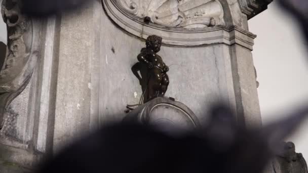 Manneken pis, kleiner Mann pinkelt, Wahrzeichen von Brüssel, Belgien — Stockvideo